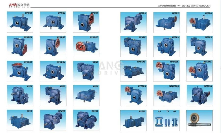 WP worm reducer