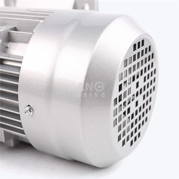 three phase induction motor