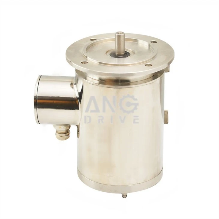 stainless electric motor