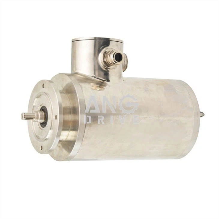 stainless steel electrical motor