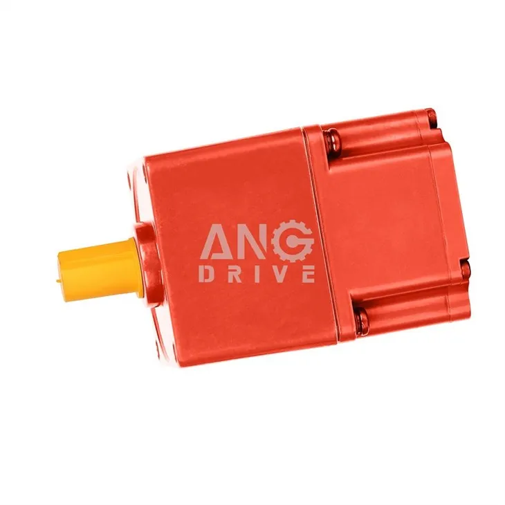 dc brushless gear motor
